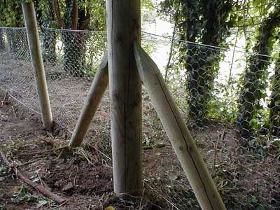 Extending  Gates on Rabbit Fencing  Rabbit Netting  Hare Fencing Enclosure And Proofing