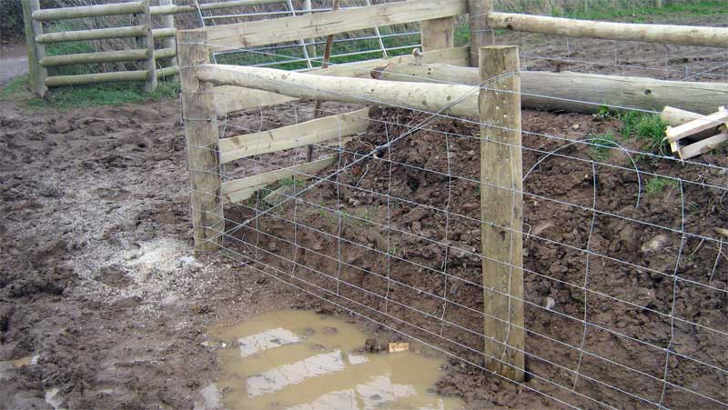 CATTLE STOCK FENCING