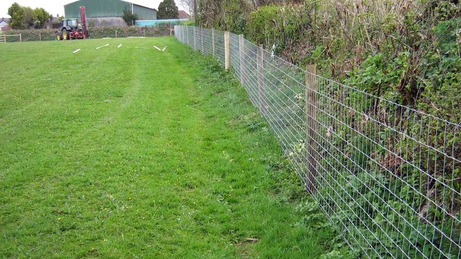 WOOD STAKES WIRE NETTING EQUINE FENCEING