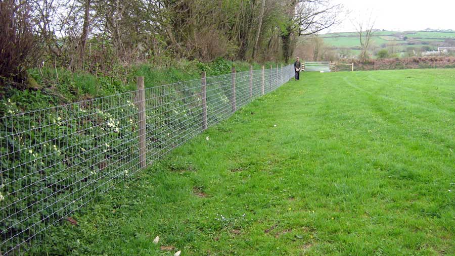 HORSE STOCK FENCING